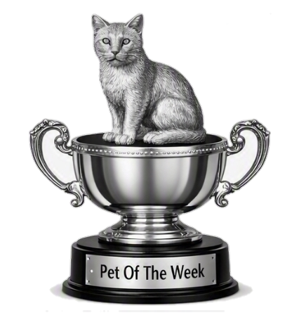a pet of the week award